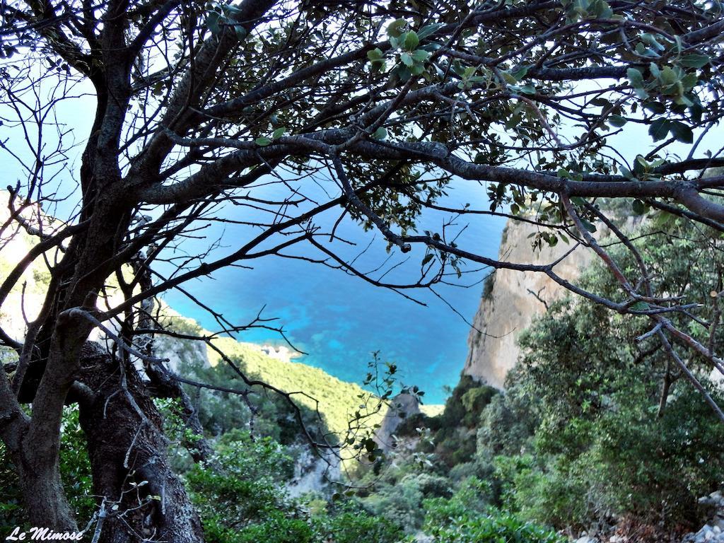 Appartamenti Le Mimose Санта-Мария-Наварезе Номер фото